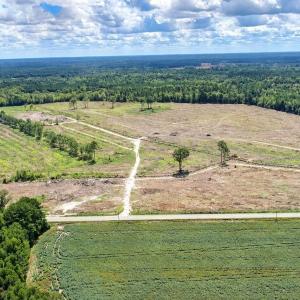 Photo #4 of Old Forreston Rd., Greeleyville, SC 237.0 acres