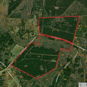 Photo #1 of Old Forreston Rd., Greeleyville, SC 237.0 acres