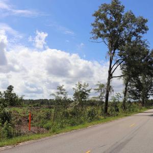 Photo #16 of Old Forreston Rd., Greeleyville, SC 237.0 acres