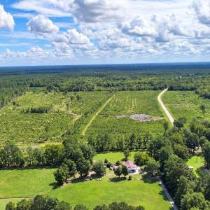 Photo #5 of Old Forreston Rd., Greeleyville, SC 237.0 acres