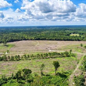 Photo #6 of Old Forreston Rd., Greeleyville, SC 237.0 acres