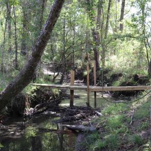 Photo #10 of Old Forreston Rd., Greeleyville, SC 237.0 acres