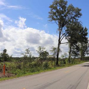 Photo #17 of Old Forreston Rd., Greeleyville, SC 237.0 acres