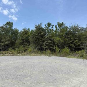 Photo #21 of Lot 10 Ellwood Rd., Galivants Ferry, SC 5.5 acres