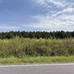 Photo #26 of Lot 10 Ellwood Rd., Galivants Ferry, SC 5.5 acres