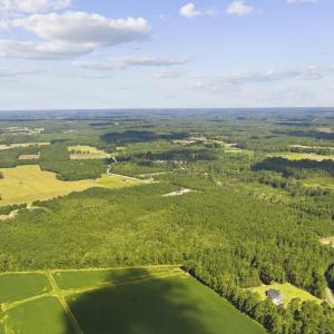 Photo #15 of Lot 10 Ellwood Rd., Galivants Ferry, SC 5.5 acres