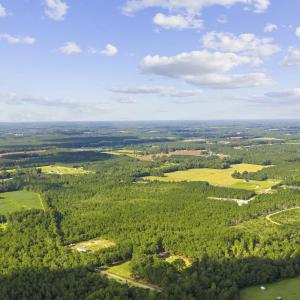 Photo #13 of Lot 10 Ellwood Rd., Galivants Ferry, SC 5.5 acres