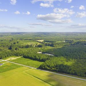 Photo #9 of Lot 10 Ellwood Rd., Galivants Ferry, SC 5.5 acres