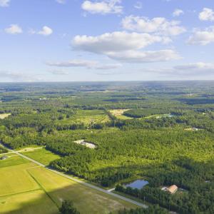 Photo #7 of Lot 10 Ellwood Rd., Galivants Ferry, SC 5.5 acres