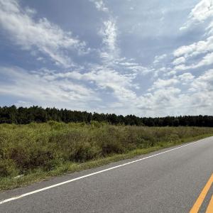 Photo #23 of Lot 10 Ellwood Rd., Galivants Ferry, SC 5.5 acres