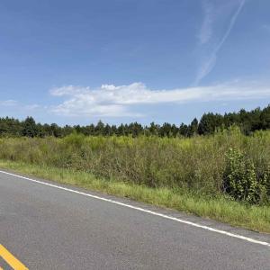 Photo #24 of Lot 10 Ellwood Rd., Galivants Ferry, SC 5.5 acres