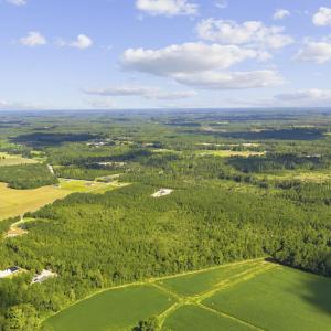 Photo #6 of Lot 10 Ellwood Rd., Galivants Ferry, SC 5.5 acres