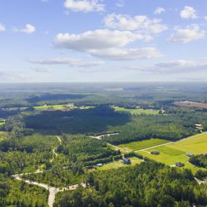 Photo #16 of Lot 10 Ellwood Rd., Galivants Ferry, SC 5.5 acres