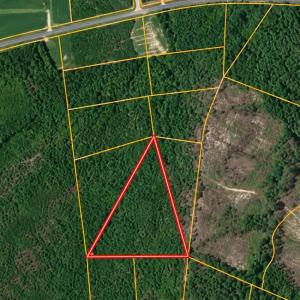 Photo #27 of Lot 10 Ellwood Rd., Galivants Ferry, SC 5.5 acres