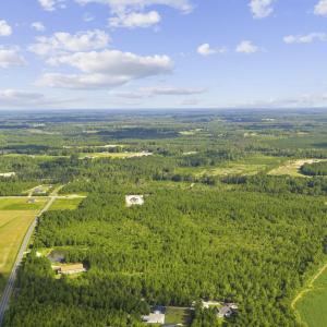 Photo #3 of Lot 10 Ellwood Rd., Galivants Ferry, SC 5.5 acres