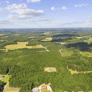Photo #14 of Lot 10 Ellwood Rd., Galivants Ferry, SC 5.5 acres
