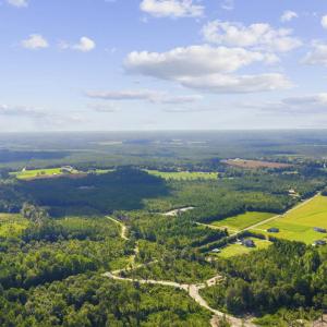 Photo #12 of Lot 10 Ellwood Rd., Galivants Ferry, SC 5.5 acres