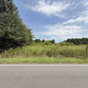 Photo #22 of Lot 11 Ellwood Rd., Galivants Ferry, SC 3.7 acres