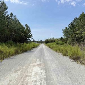 Photo #23 of Lot 11 Ellwood Rd., Galivants Ferry, SC 3.7 acres