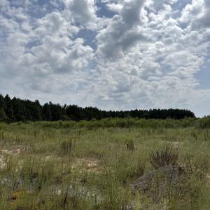 Photo #28 of Lot 11 Ellwood Rd., Galivants Ferry, SC 3.7 acres
