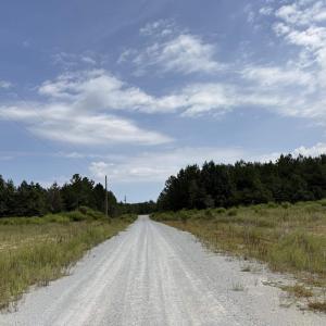 Photo #30 of Lot 11 Ellwood Rd., Galivants Ferry, SC 3.7 acres