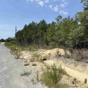 Photo #24 of Lot 11 Ellwood Rd., Galivants Ferry, SC 3.7 acres