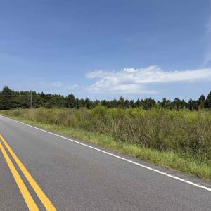 Photo #18 of Lot 11 Ellwood Rd., Galivants Ferry, SC 3.7 acres