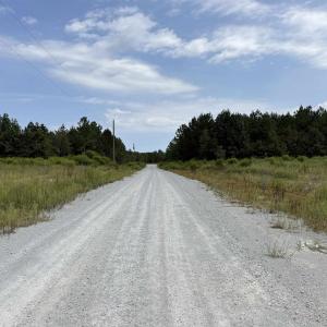 Photo #29 of Lot 11 Ellwood Rd., Galivants Ferry, SC 3.7 acres