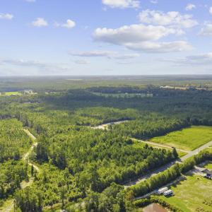 Photo #7 of Lot 11 Ellwood Rd., Galivants Ferry, SC 3.7 acres