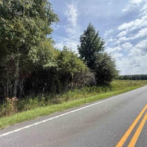 Photo #21 of Lot 11 Ellwood Rd., Galivants Ferry, SC 3.7 acres