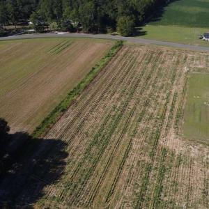 Photo #5 of LOT 1 Mar Cap Rd., Galivants Ferry, SC 2.0 acres