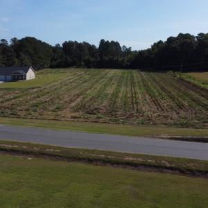 Photo #7 of LOT 1 Mar Cap Rd., Galivants Ferry, SC 2.0 acres