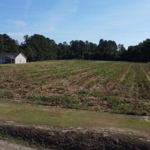 Photo #4 of LOT 1 Mar Cap Rd., Galivants Ferry, SC 2.0 acres