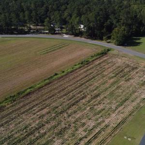 Photo #6 of LOT 1 Mar Cap Rd., Galivants Ferry, SC 2.0 acres
