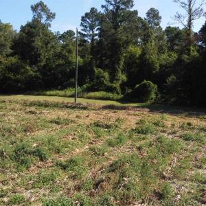 Photo #4 of LOT 2 Mar Cap Rd., Galivants Ferry, SC 2.0 acres