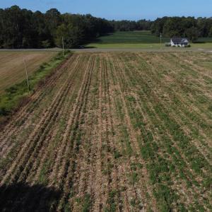 Photo #3 of LOT 2 Mar Cap Rd., Galivants Ferry, SC 2.0 acres