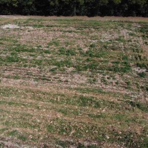 Photo #2 of LOT 2 Mar Cap Rd., Galivants Ferry, SC 2.0 acres