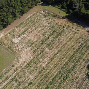 Photo #5 of LOT 2 Mar Cap Rd., Galivants Ferry, SC 2.0 acres