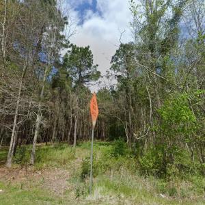 Photo #3 of TBD Highway 762, Loris, SC 0.8 acres