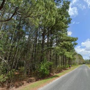 Photo #2 of TBD Highway 762, Loris, SC 0.8 acres