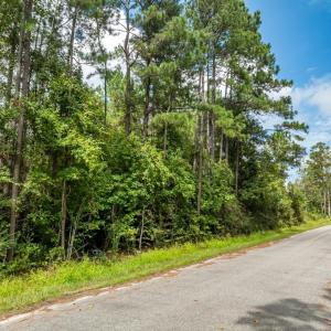 Photo #2 of 1232 Rainbow Dr., Loris, SC 0.8 acres