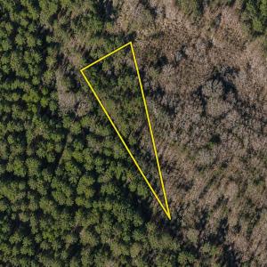 Photo #1 of TBD Gibson Rd., Greeleyville, SC 1.0 acres