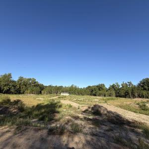Photo #24 of 15+/- Acres-976 New Pine Rd., Johnsonville, SC 15.0 acres