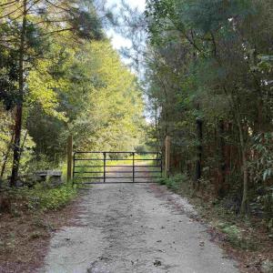 Photo #7 of 15+/- Acres-976 New Pine Rd., Johnsonville, SC 15.0 acres