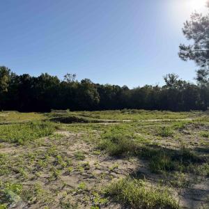 Photo #8 of 15+/- Acres-976 New Pine Rd., Johnsonville, SC 15.0 acres