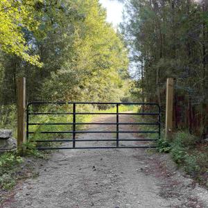Photo #6 of 15+/- Acres-976 New Pine Rd., Johnsonville, SC 15.0 acres