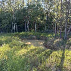 Photo #23 of 15+/- Acres-976 New Pine Rd., Johnsonville, SC 15.0 acres
