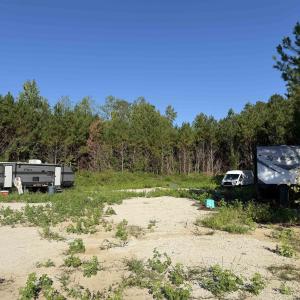 Photo #9 of 15+/- Acres-976 New Pine Rd., Johnsonville, SC 15.0 acres