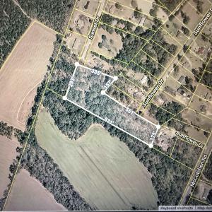 Photo #1 of Sunflower Dr., Cades, SC 4.5 acres