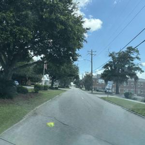 Photo #4 of Sunflower Dr., Cades, SC 4.5 acres